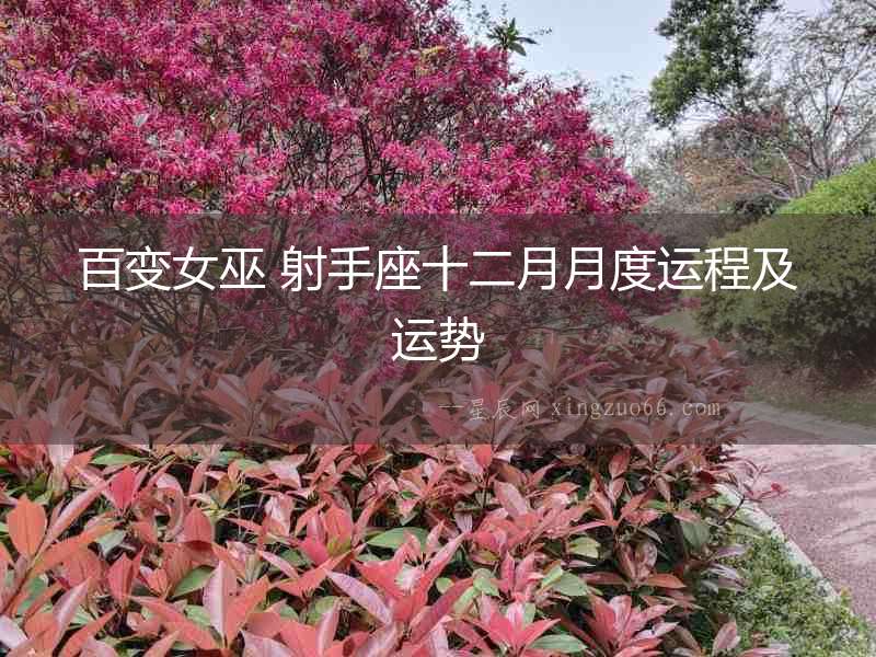 百變女巫 射手座十二月月度運程及運勢