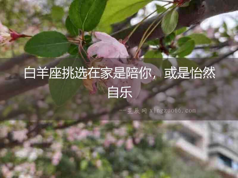 白羊座挑選在家是陪你，或是怡然自樂