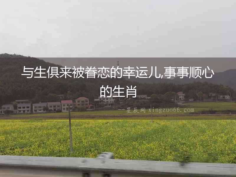 與生俱來被眷戀的幸運兒,事事順心的生肖
