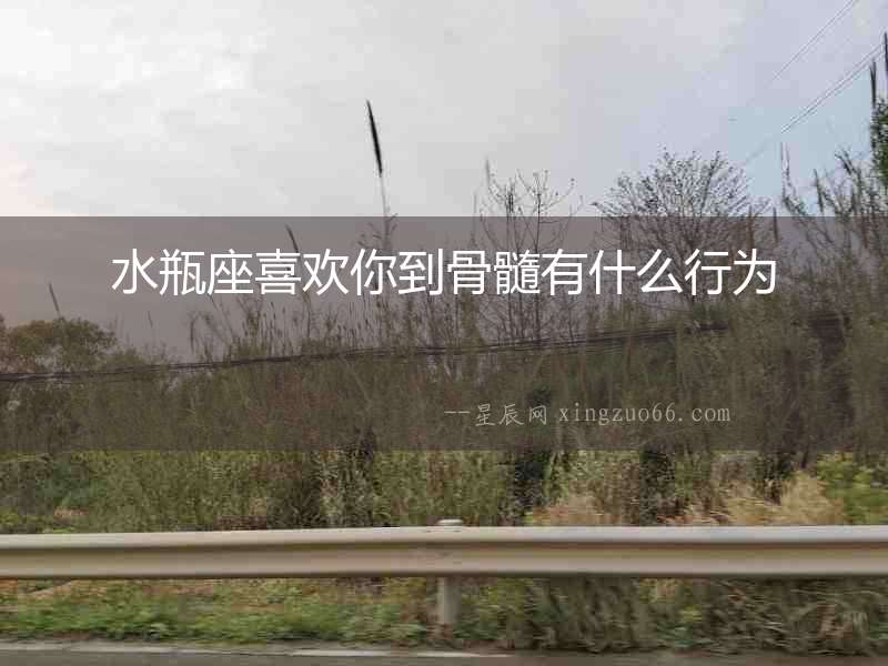 水瓶座喜歡你到骨髓有什么行為