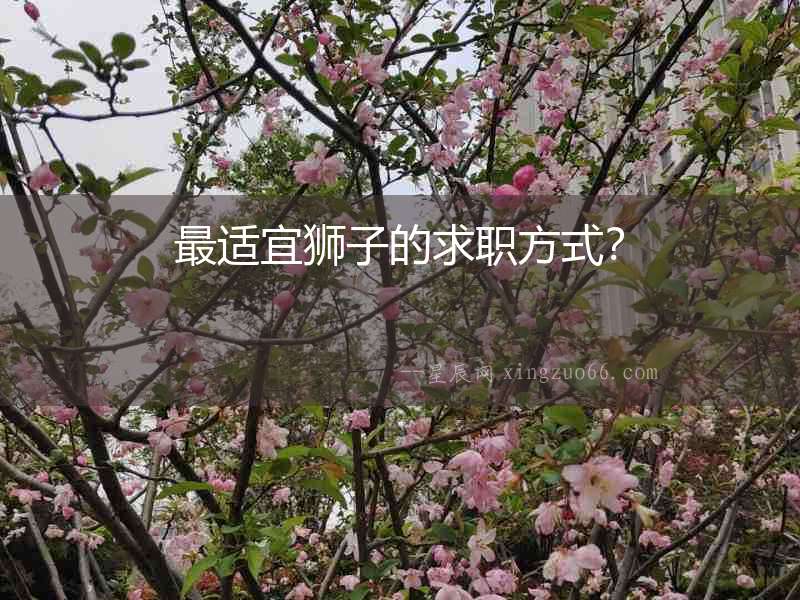 最適宜獅子的求職方式？