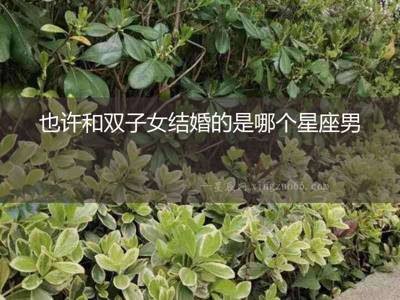 也許和雙子女結婚的是哪個星座男