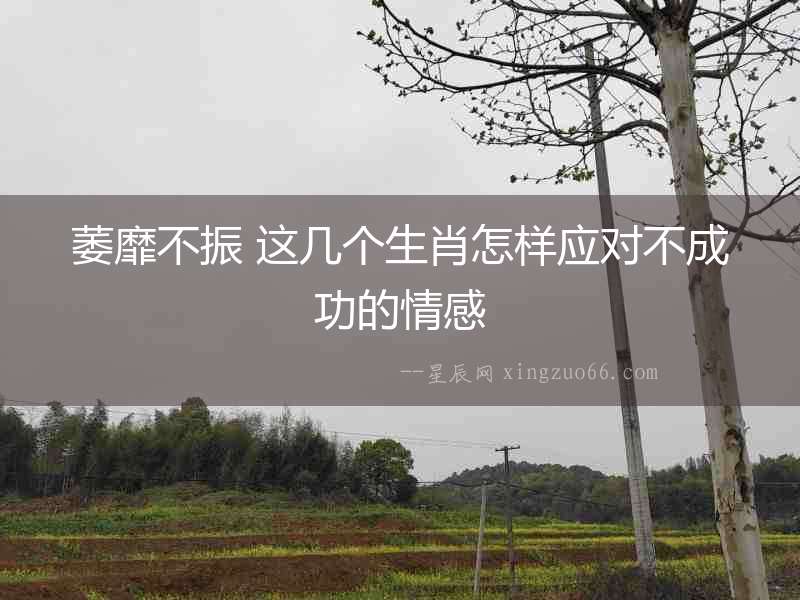 萎靡不振 這幾個生肖怎樣應對不成功的情感