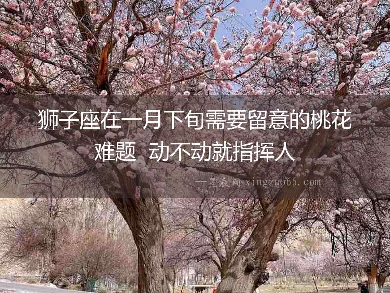 獅子座在一月下旬需要留意的桃花難題  動不動就指揮人