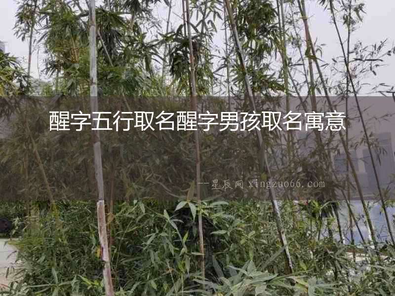 醒字五行取名醒字男孩取名寓意