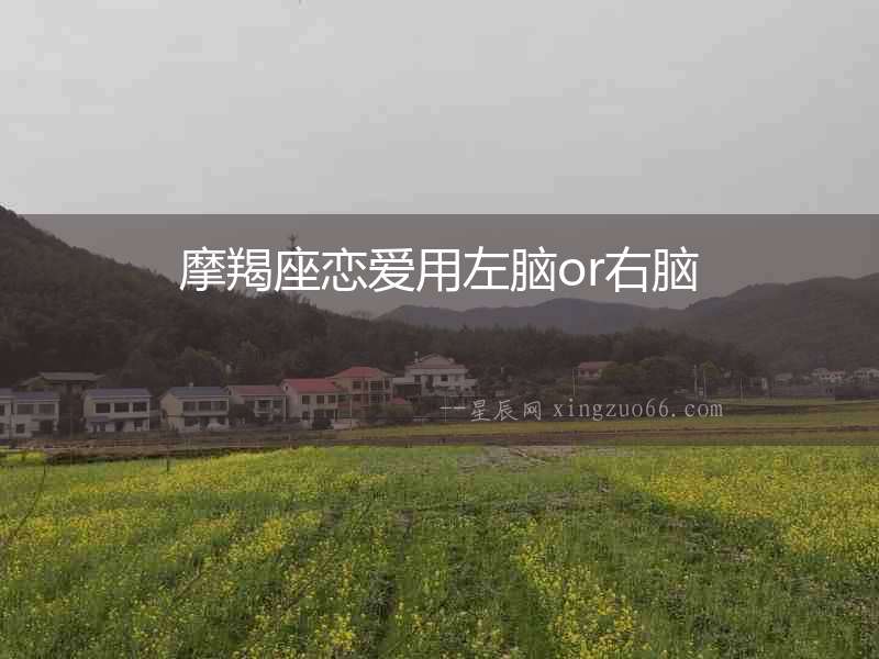 摩羯座戀愛用左腦or右腦