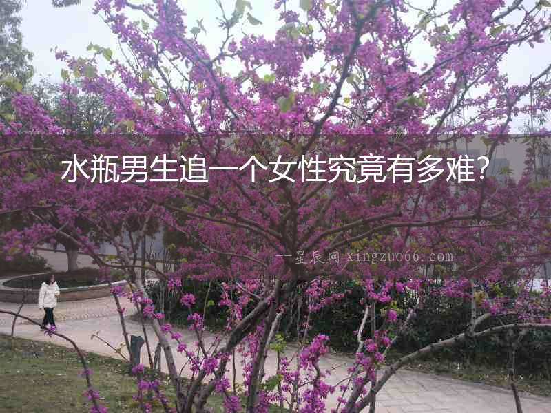 水瓶男生追一個女性究竟有多難？