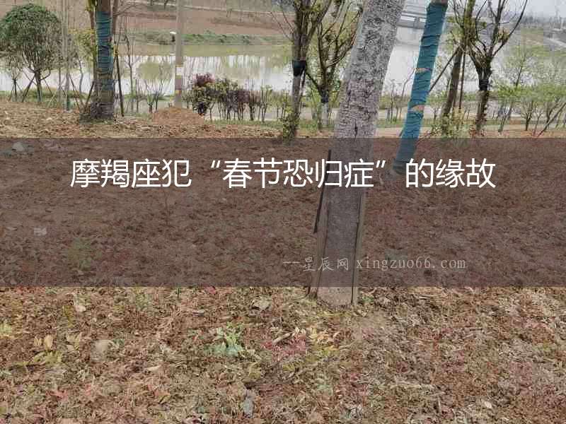 摩羯座犯“春節恐歸癥”的緣故