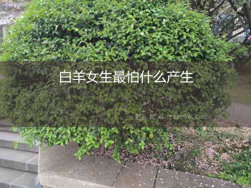 白羊女生最怕什么產(chǎn)生