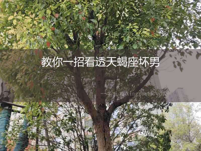教你一招看透天蝎座壞男