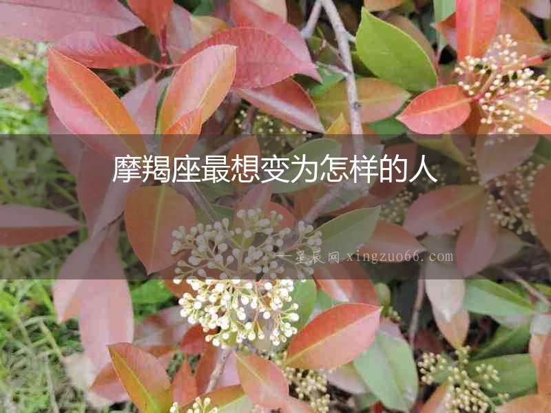 摩羯座最想變為怎樣的人