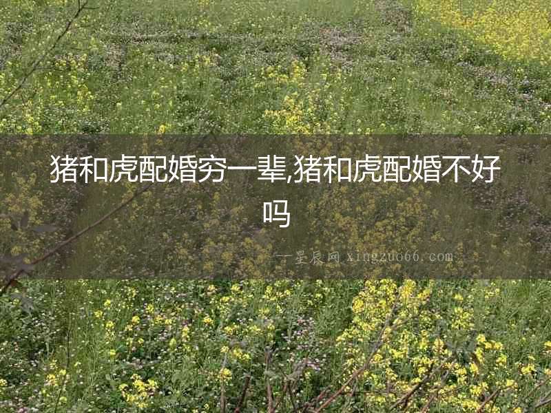 豬和虎配婚窮一輩,豬和虎配婚不好嗎