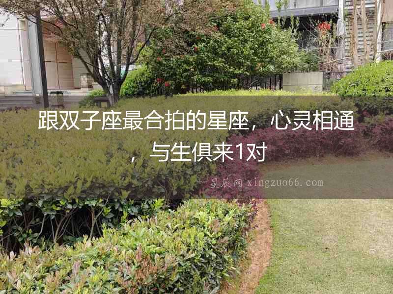 跟雙子座最合拍的星座，心靈相通，與生俱來1對
