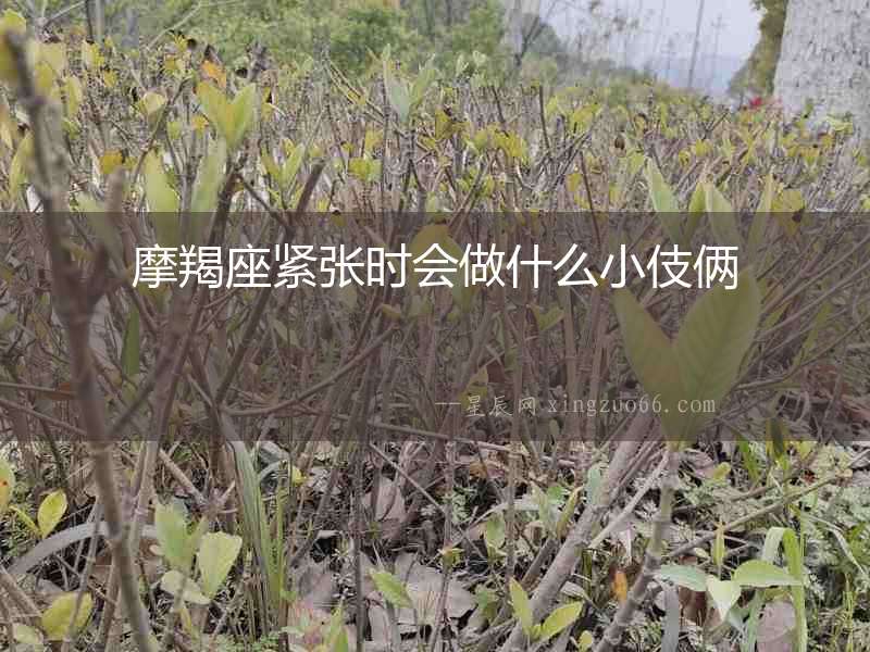 摩羯座緊張時會做什么小伎倆