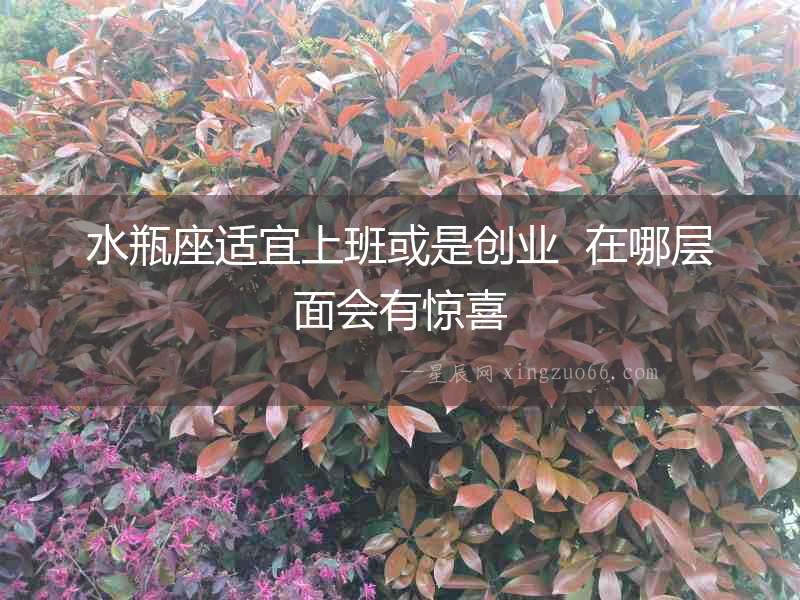 水瓶座適宜上班或是創(chuàng)業(yè)  在哪層面會有驚喜