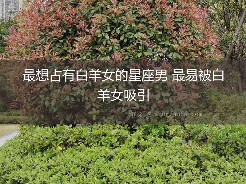 最想占有白羊女的星座男 最易被白羊女吸引