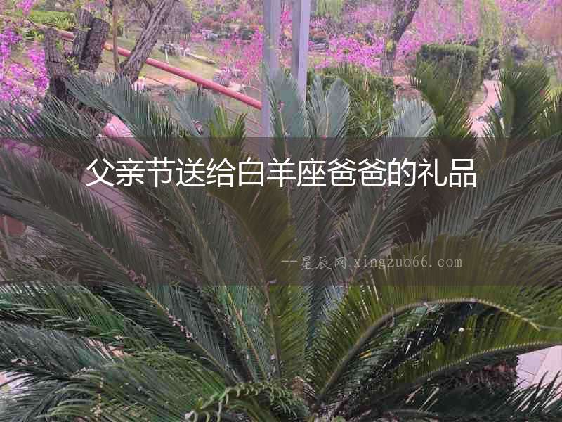 父親節(jié)送給白羊座爸爸的禮品