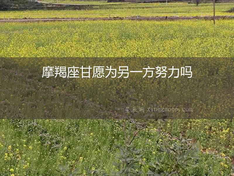 摩羯座甘愿為另一方努力嗎