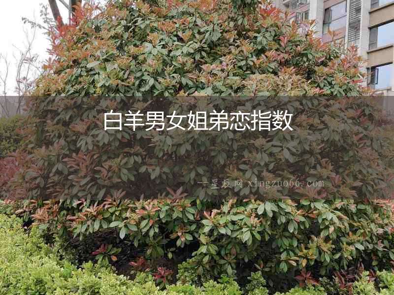 白羊男女姐弟戀指數