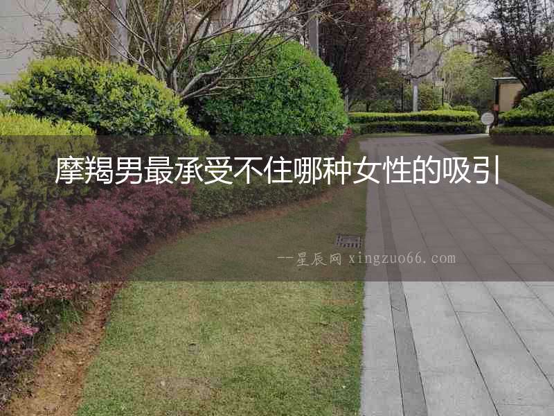 摩羯男最承受不住哪種女性的吸引