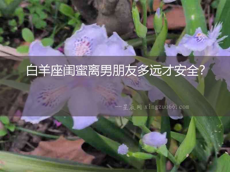 白羊座閨蜜離男朋友多遠才安全？