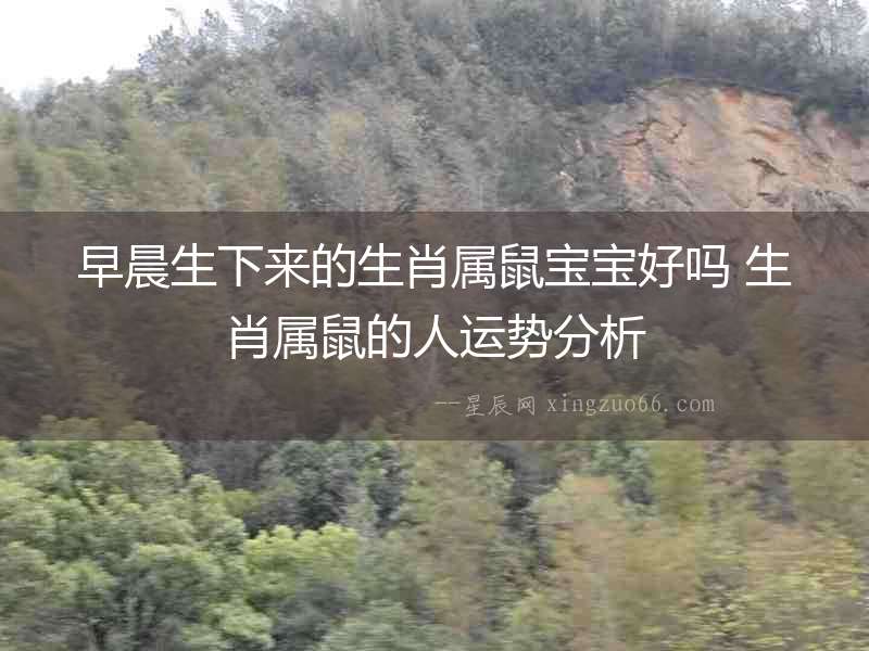 早晨生下來的生肖屬鼠寶寶好嗎 生肖屬鼠的人運(yùn)勢(shì)分析