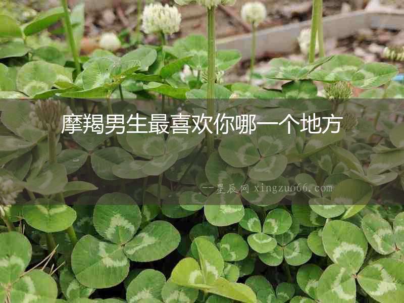 摩羯男生最喜歡你哪一個地方
