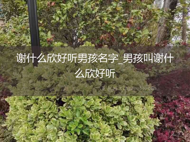 謝什么欣好聽男孩名字_男孩叫謝什么欣好聽
