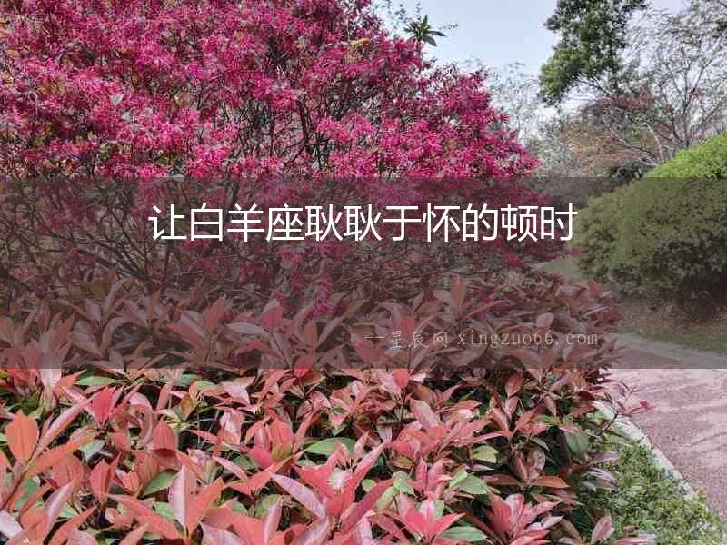 讓白羊座耿耿于懷的頓時
