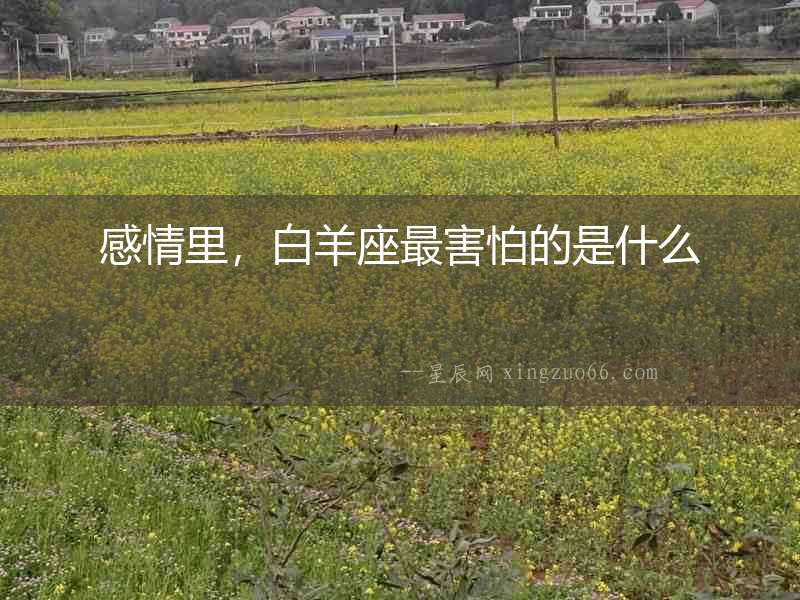 感情里，白羊座最害怕的是什么