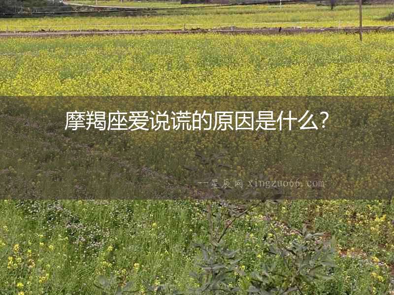 摩羯座愛說謊的原因是什么？