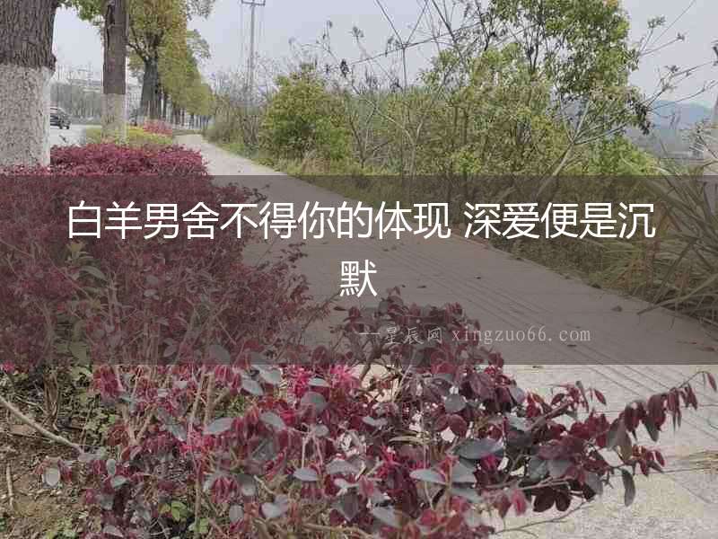 白羊男舍不得你的體現 深愛便是沉默