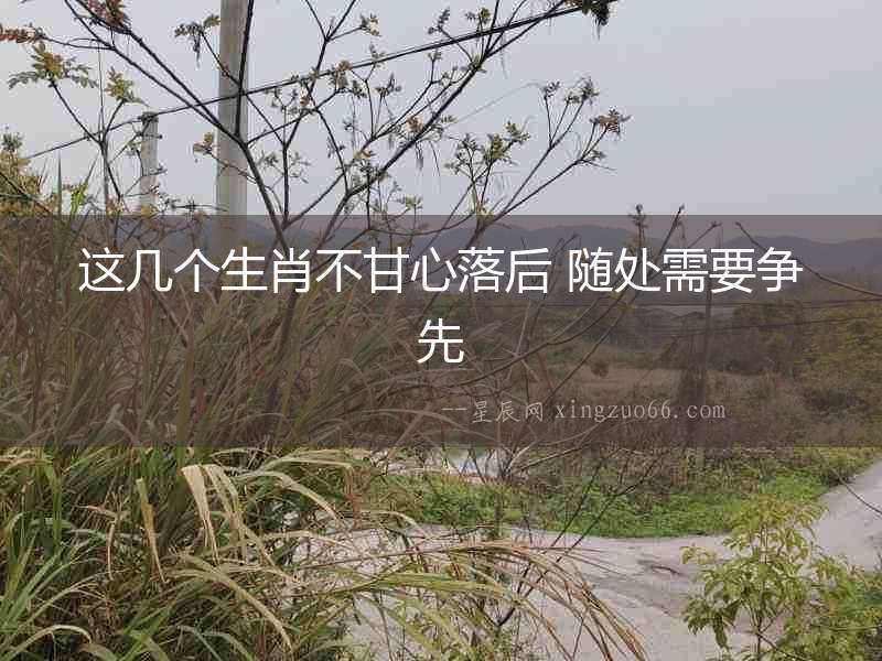這幾個生肖不甘心落后 隨處需要爭先