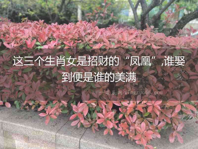 這三個生肖女是招財?shù)摹傍P凰”,誰娶到便是誰的美滿