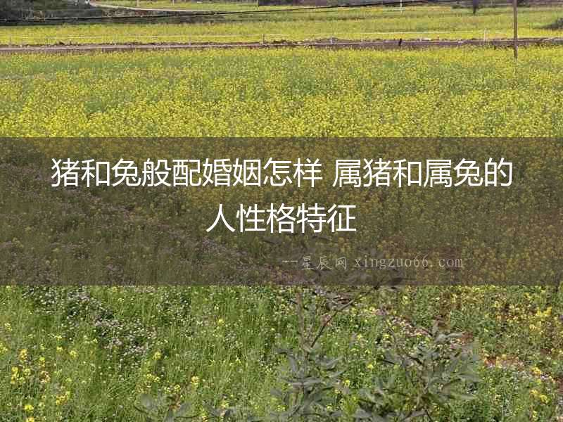 豬和兔般配婚姻怎樣 屬豬和屬兔的人性格特征
