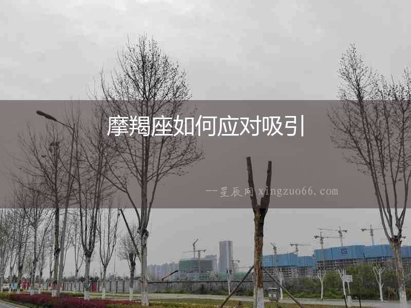 摩羯座如何應對吸引