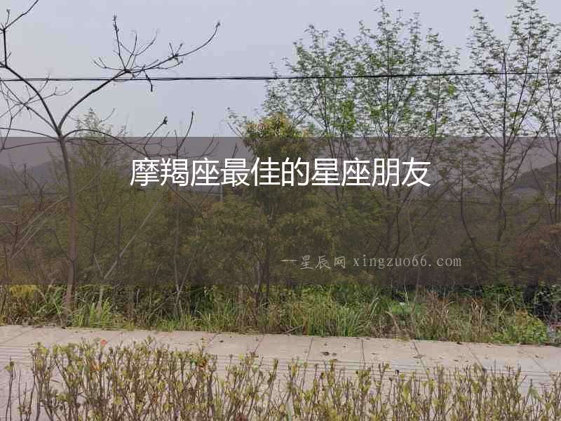 摩羯座最佳的星座朋友
