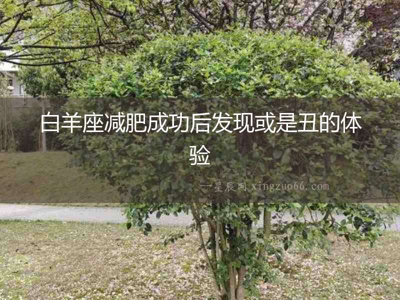 白羊座減肥成功后發現或是丑的體驗