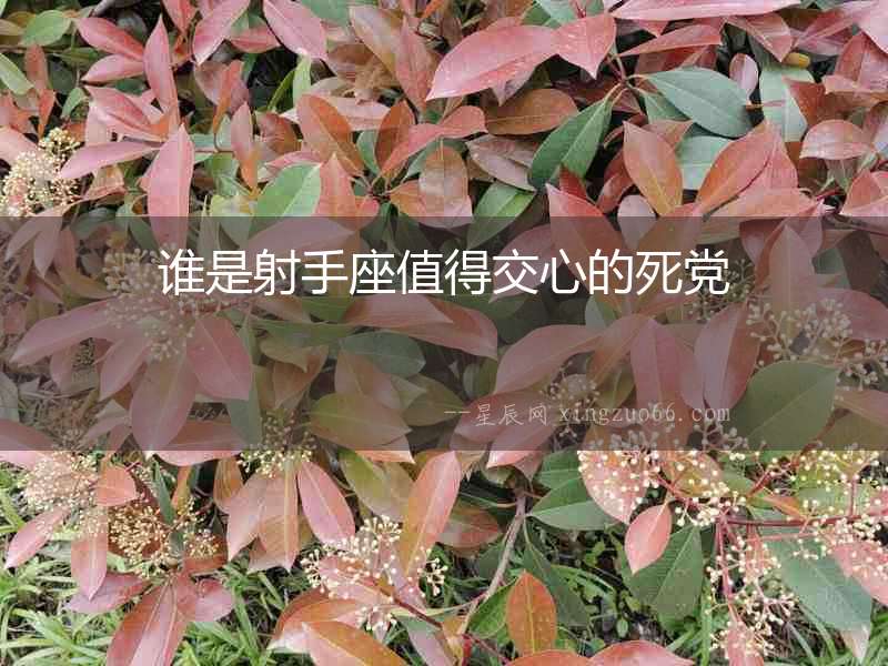 誰是射手座值得交心的死黨