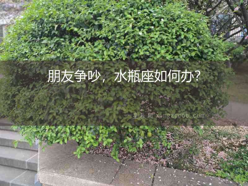 朋友爭吵，水瓶座如何辦？