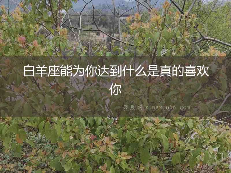 白羊座能為你達到什么是真的喜歡你