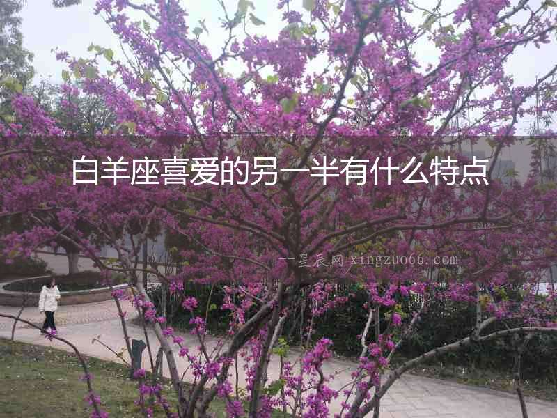 白羊座喜愛的另一半有什么特點