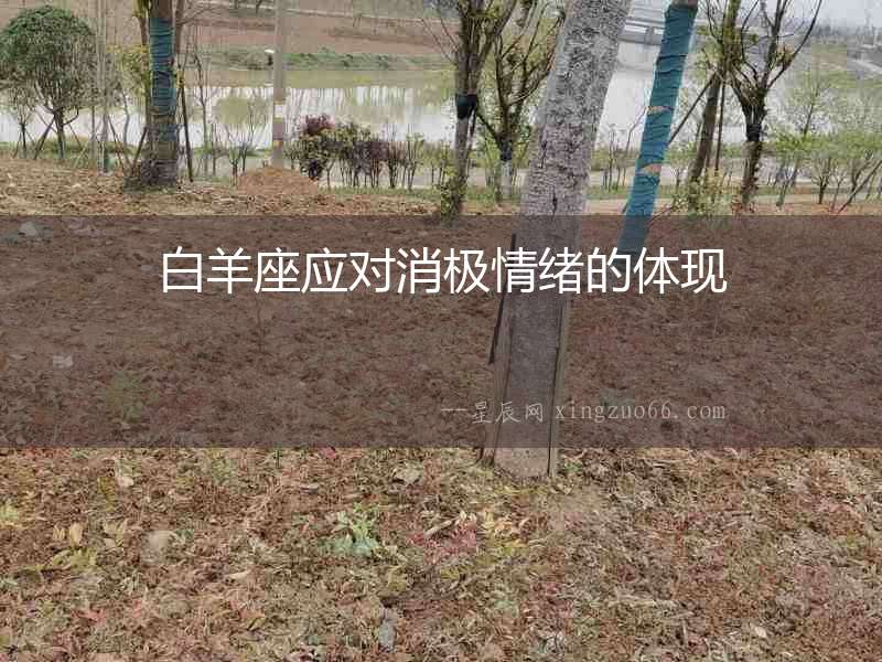 白羊座應對消極情緒的體現