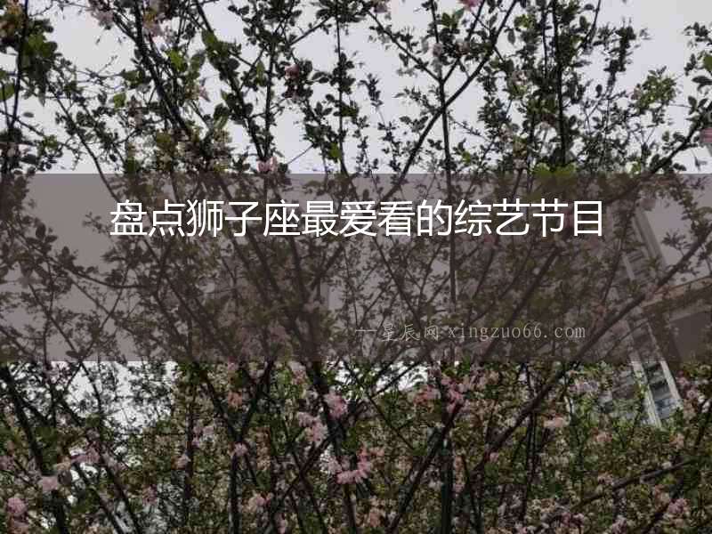盤點獅子座最愛看的綜藝節目