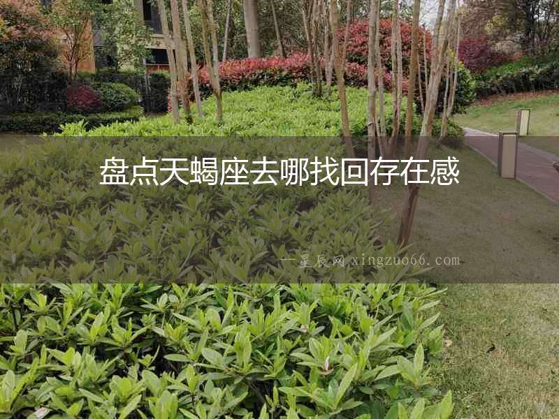 盤點(diǎn)天蝎座去哪找回存在感
