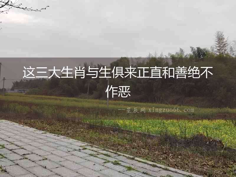 這三大生肖與生俱來正直和善絕不作惡