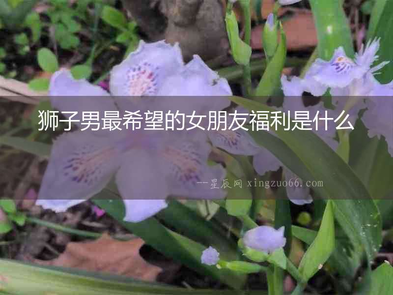 獅子男最希望的女朋友福利是什么