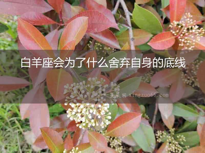 白羊座會為了什么舍棄自身的底線