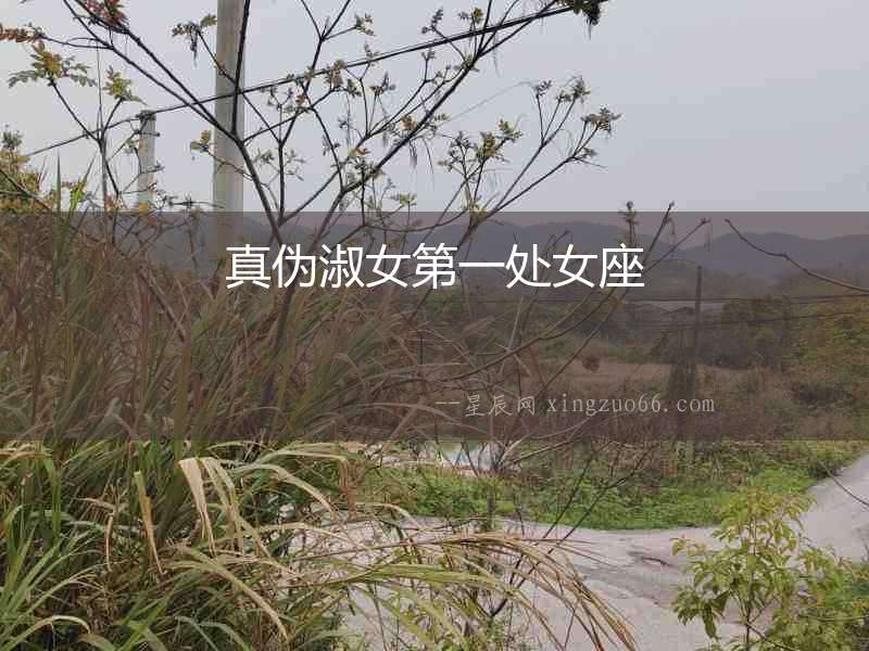 真偽淑女第一處女座