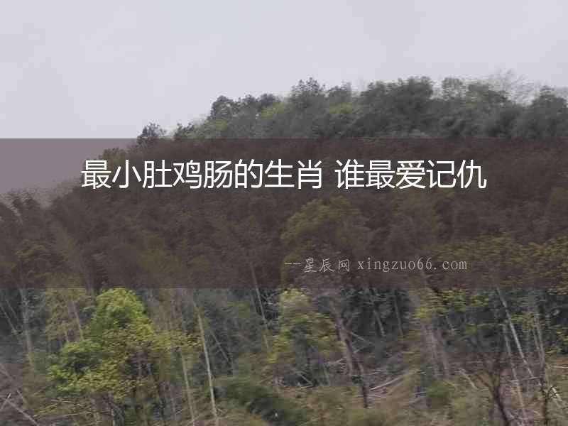 最小肚雞腸的生肖 誰最愛記仇